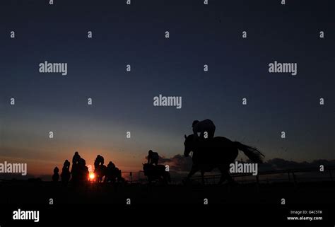 attheraces (@attheraces) .